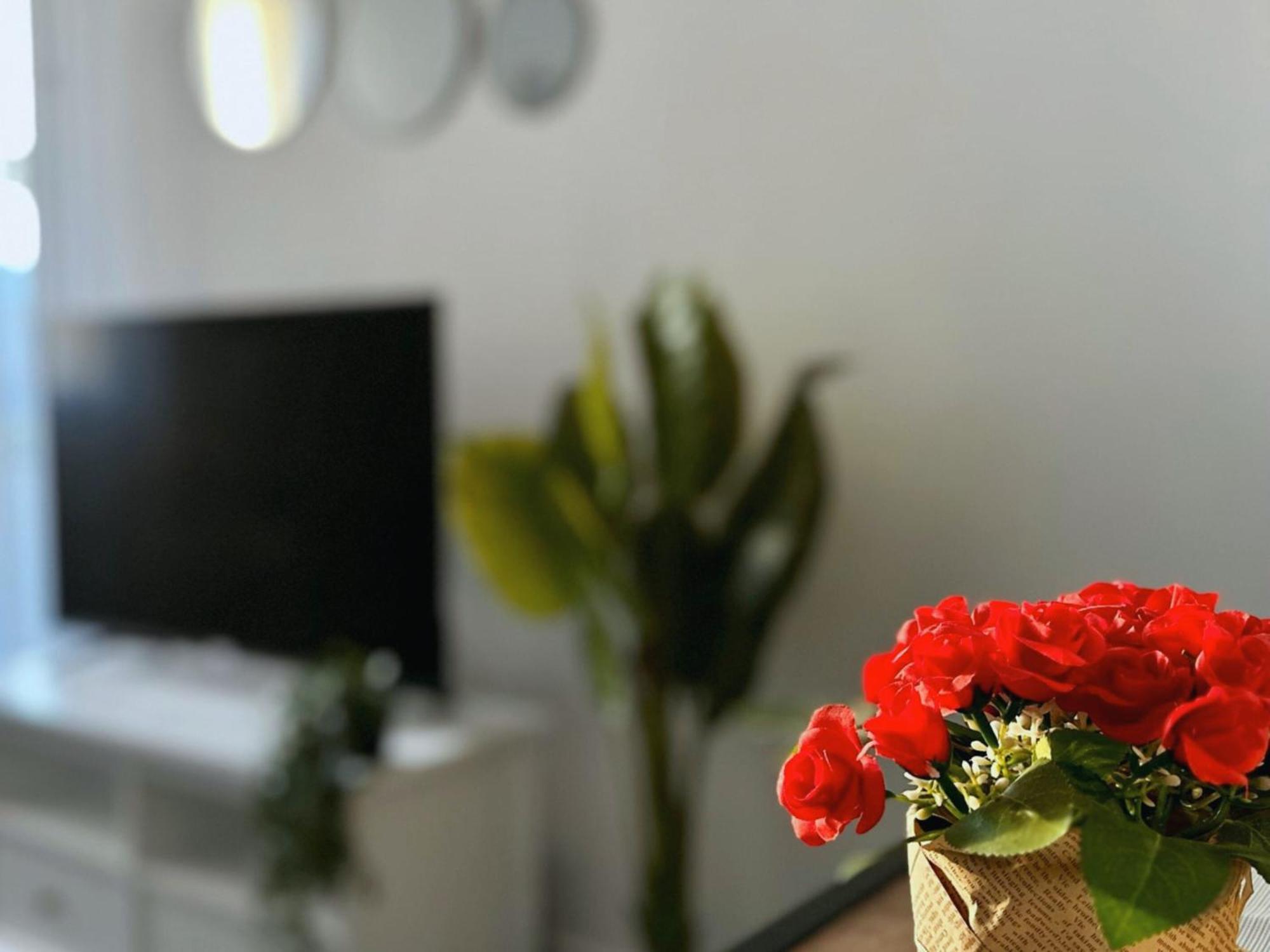 Cosy Palm Beach, Studio Pres De La Mer Et De La Croisette Кан Екстериор снимка